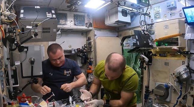     Скриншот из видео ТАСС