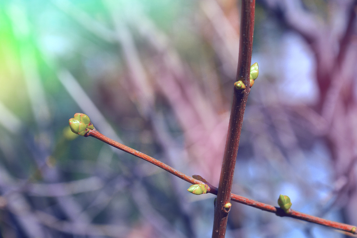 Копирование фотографий запрещено. Контент является интеллектуальной собственностью. Защищён авторским правом.
