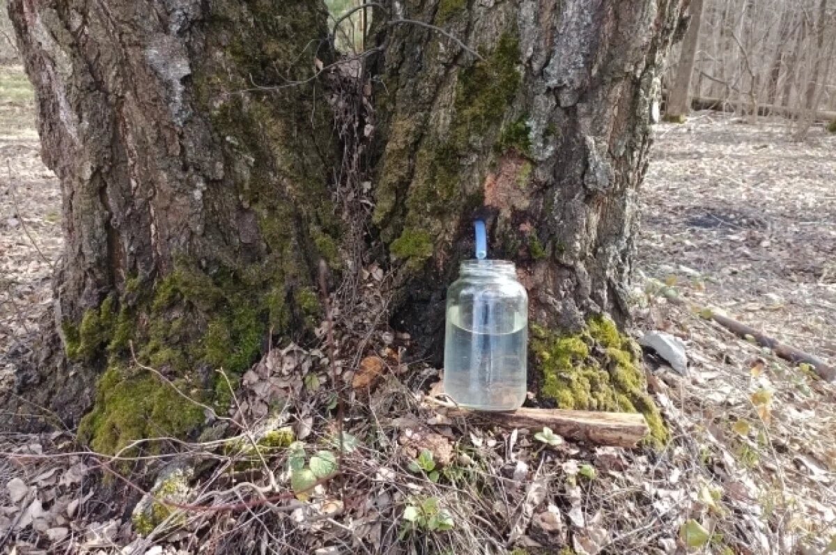    Пора запаса витаминов.