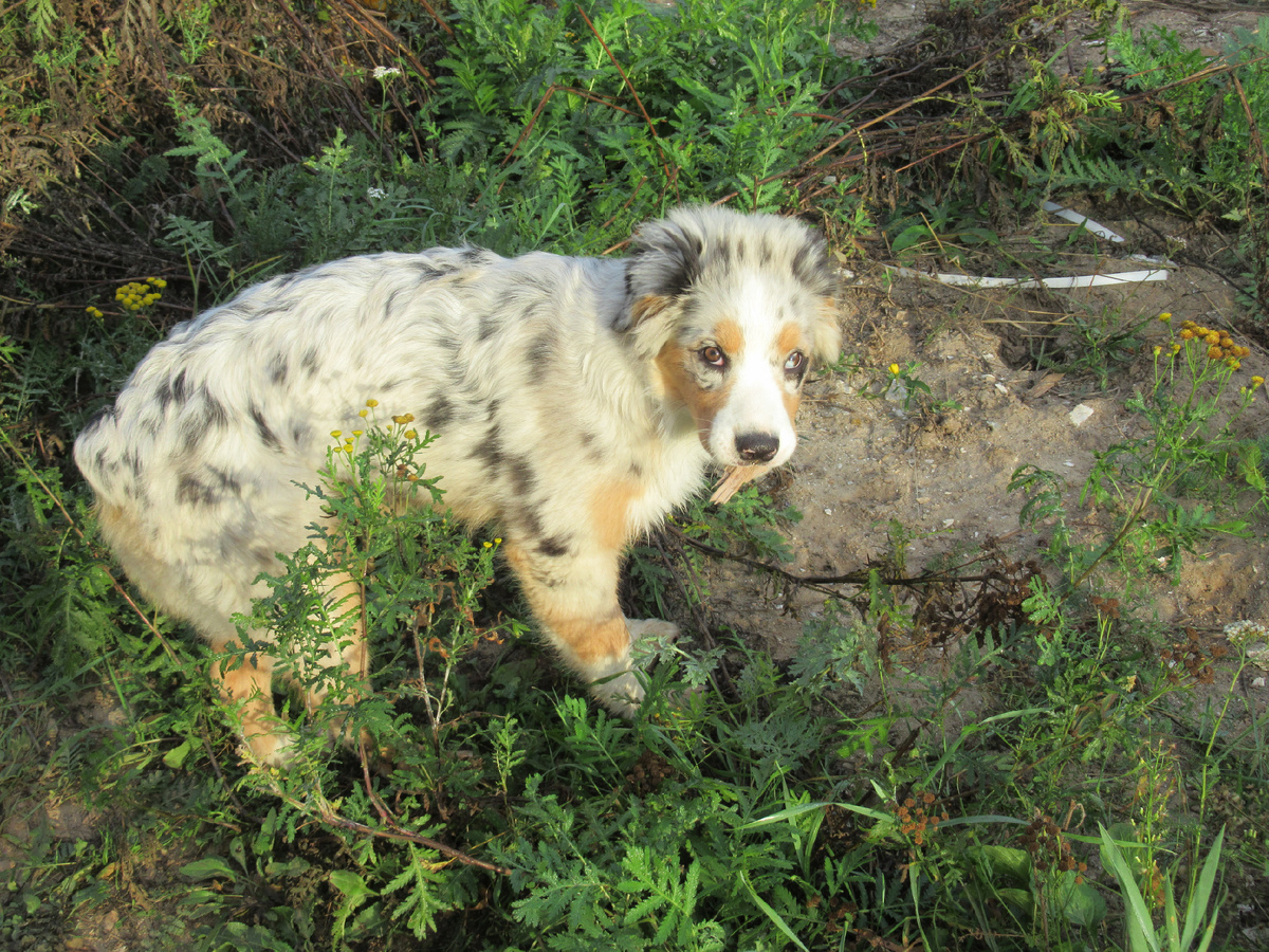 Я считаю, что вещи спасло дерево, оставшееся после стройки. Куски балок и досок лежали по всему дому, а вот газосиликат ей не зашел.