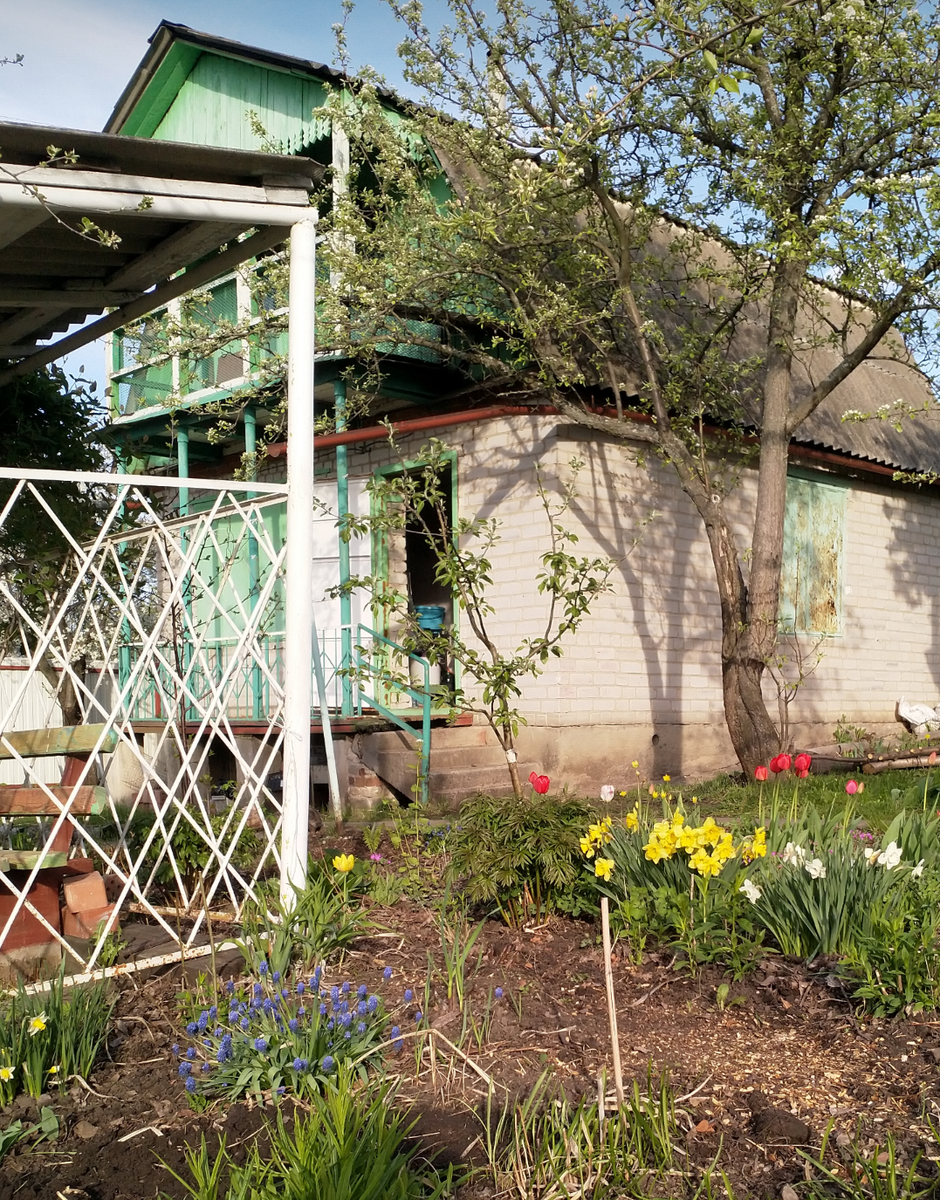 Вот так, с лестницы сразу в кухню. И никаких сеней 