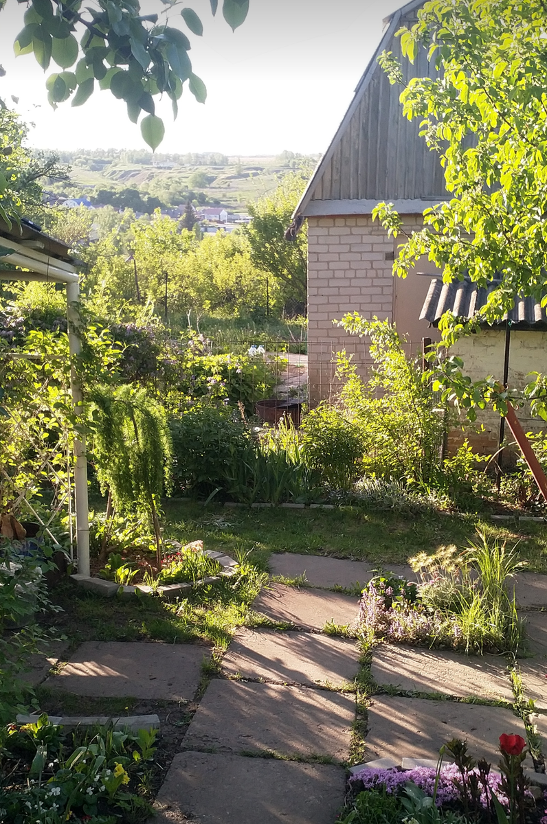 Вид от двери, конечно, приятный. И я бы не отказалась от окна в пол. Но вход бы сделала в другом месте.