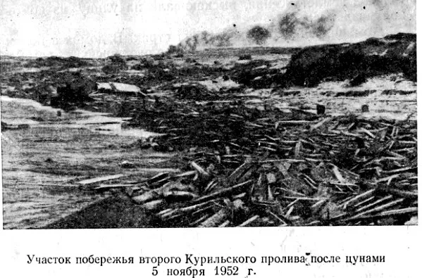 Фото из открытых источников интернет