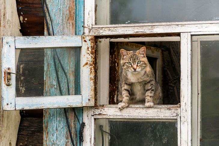    Фото Андрея Заржецкого
