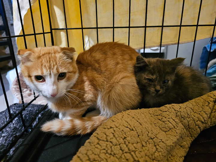 Вместе не так страшно