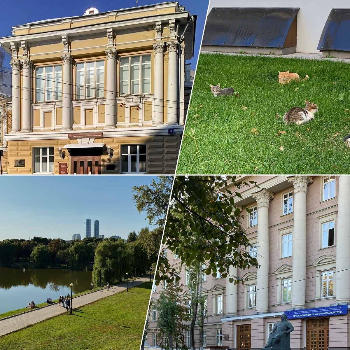 Фото автора канала. Клиника кожных и венерических болезней имени В. А. Рахманова, парк Новодевичьи пруды, Акушерская клиника.