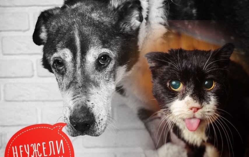 Удар за ударом, НЕЧЕМ ПЛАТИТЬ АРЕНДУ!