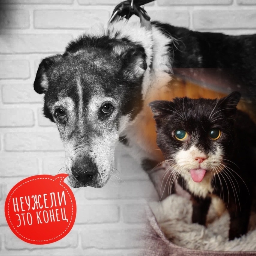 А если мы не оплатим аренду, остаемся НА УЛИЦЕ!