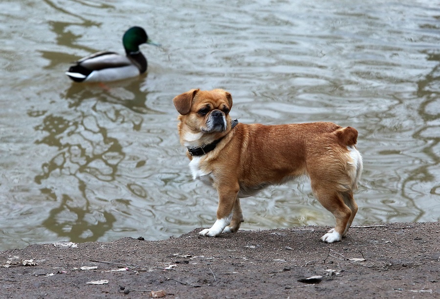    Фото: Baltphoto/ Андрей Пронин