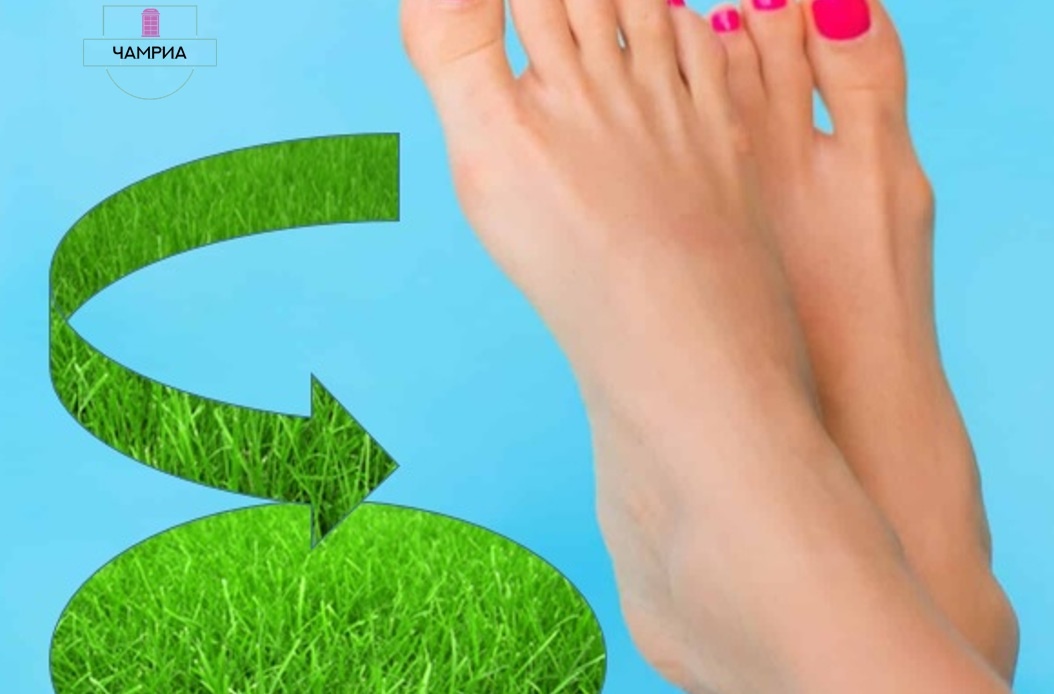 #English_idioms #Английские_идиомы #put_your_foot_down #настоять_на_прекращении