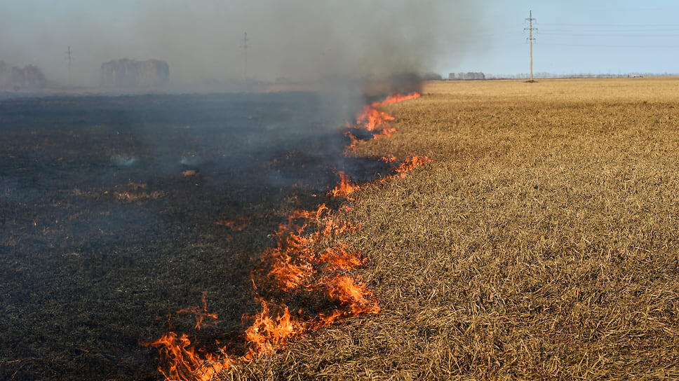 Фото: Влад Некрасов / Коммерсантъ