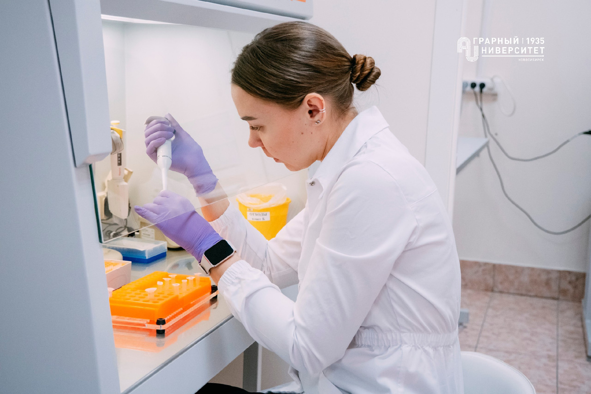 Первый автор исследования — Татьяна Крыцына. Источник: Пресс-центр НГАУ