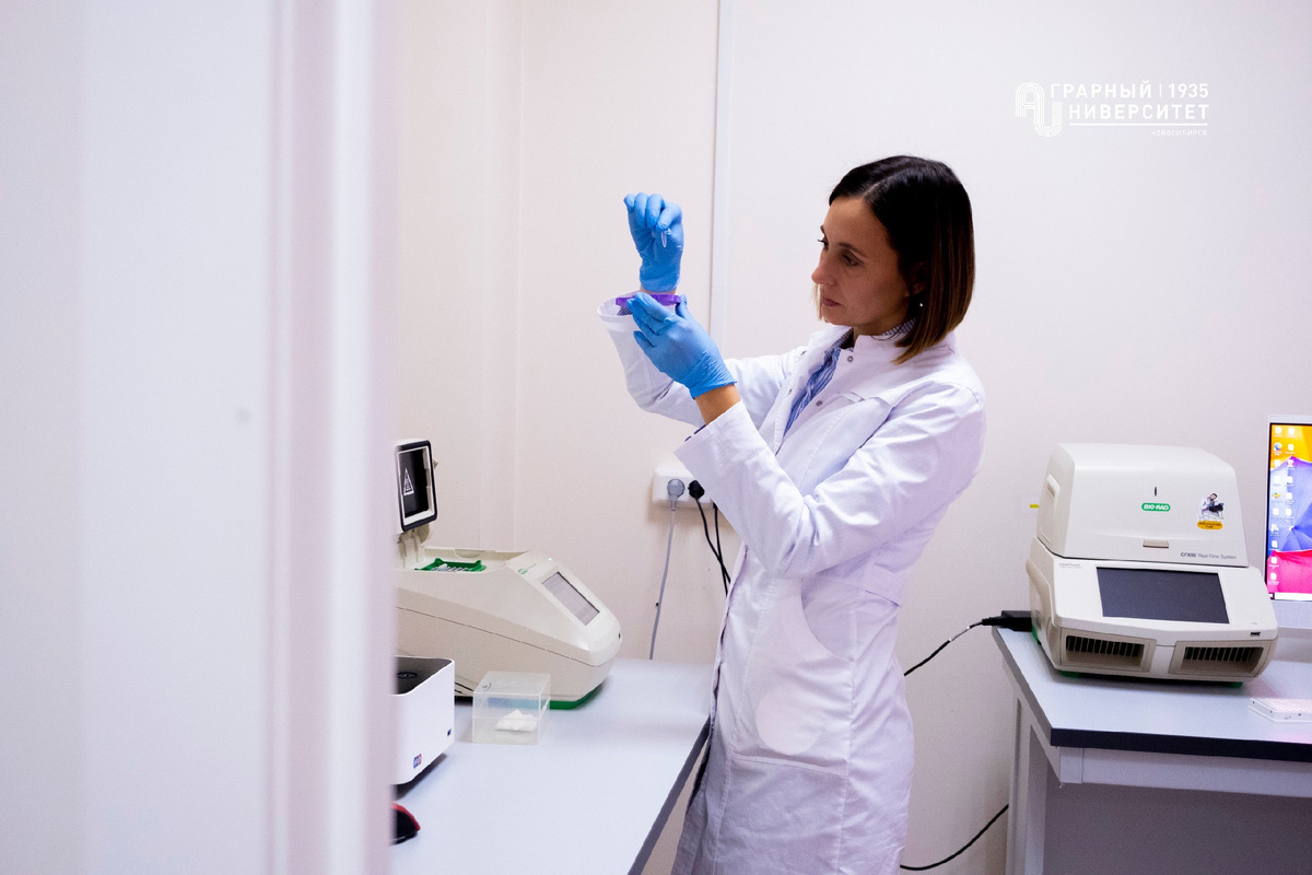 Второй автор исследования — Екатерина Гризанова. Источник: Пресс-центр НГАУ