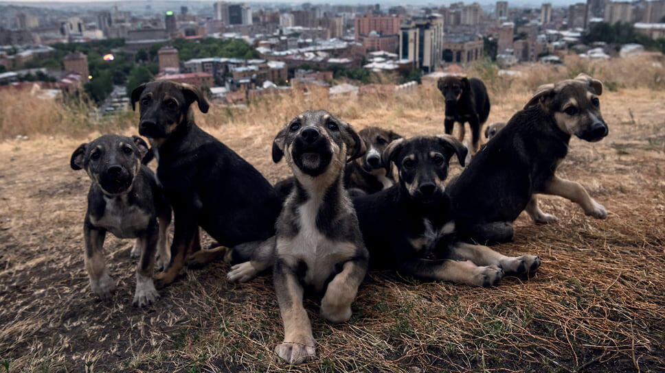 Фото: Александр Патрин / Коммерсантъ
