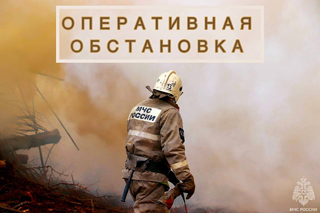 Почти 10 гектаров выгорело за день в Тверской области