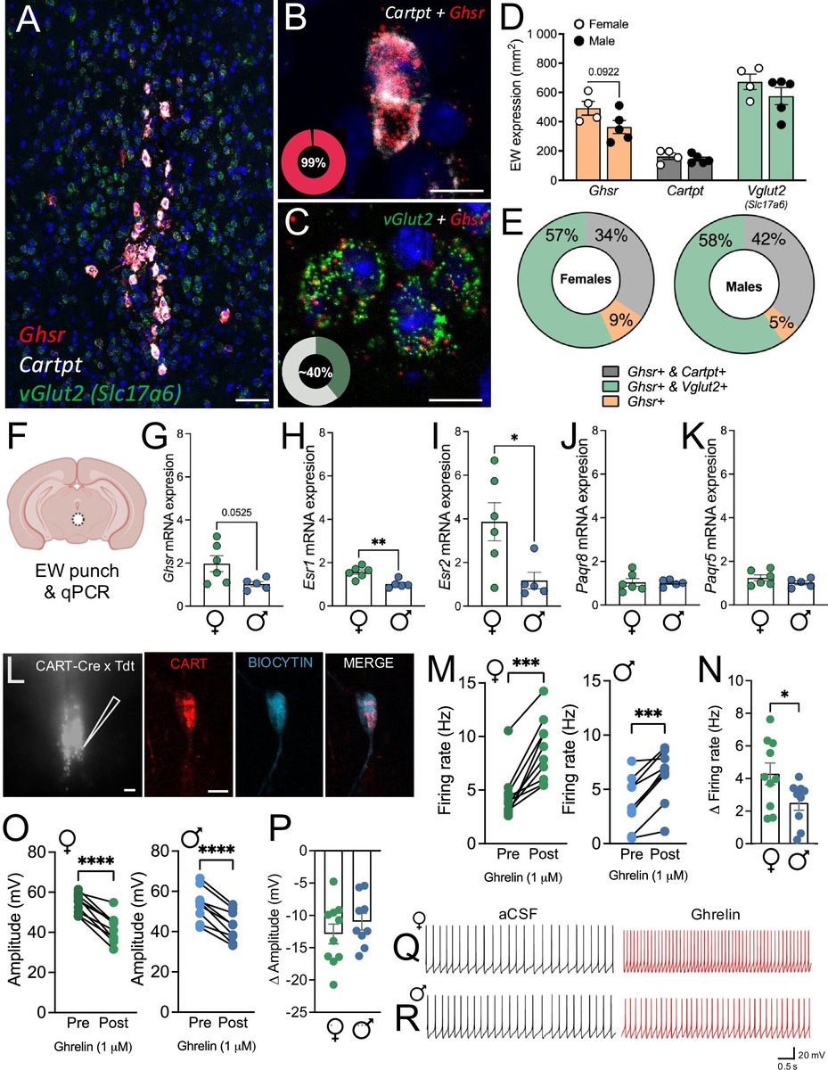    Nature Communications (2025)