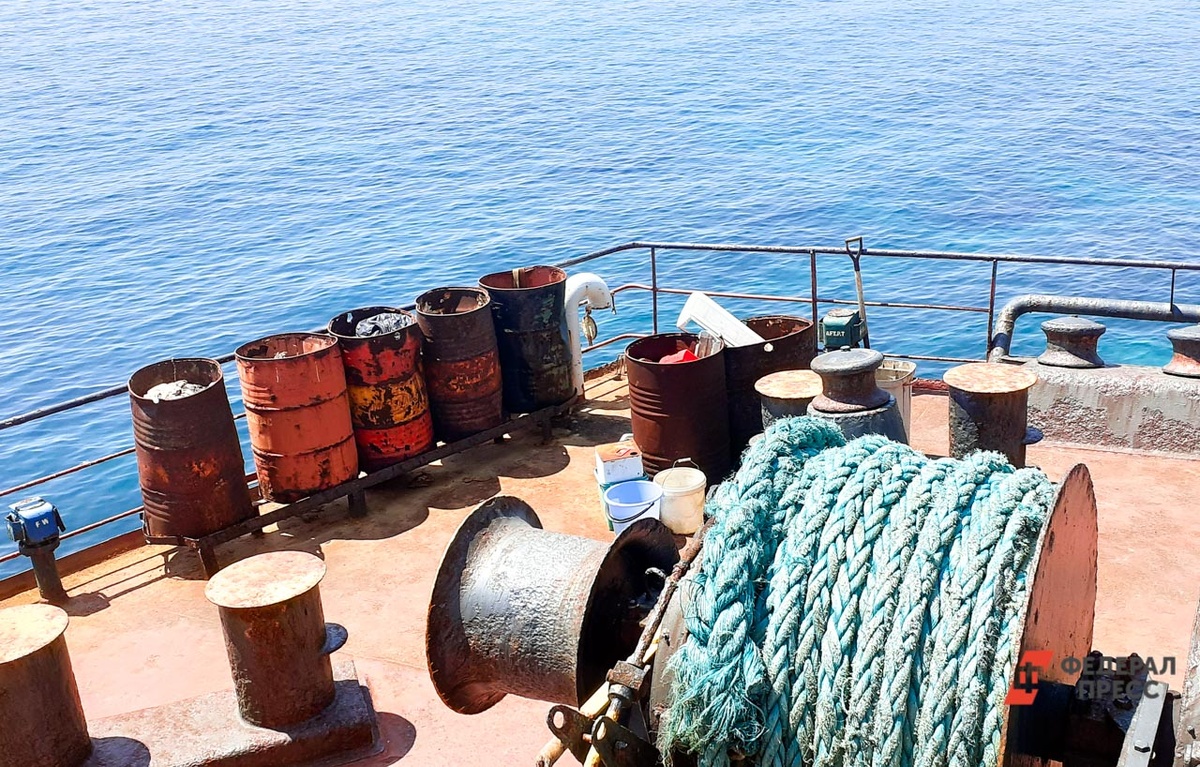 В отношении судовладельца началась проверка.  Фото: Фото: ФедералПресс / Андрей Гусий