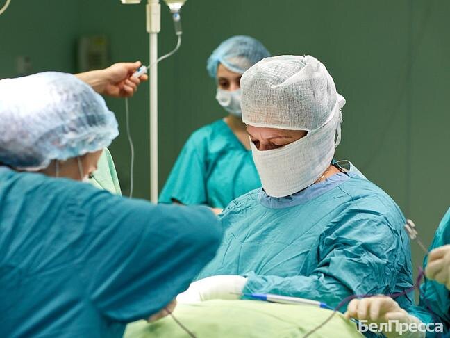 Фото: Елена Журавлёва