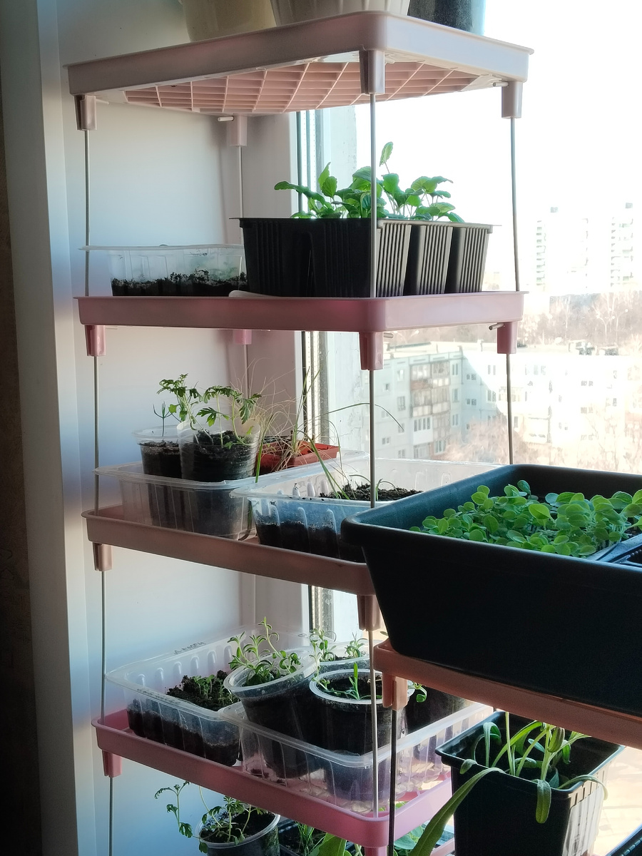 Полки для рассады