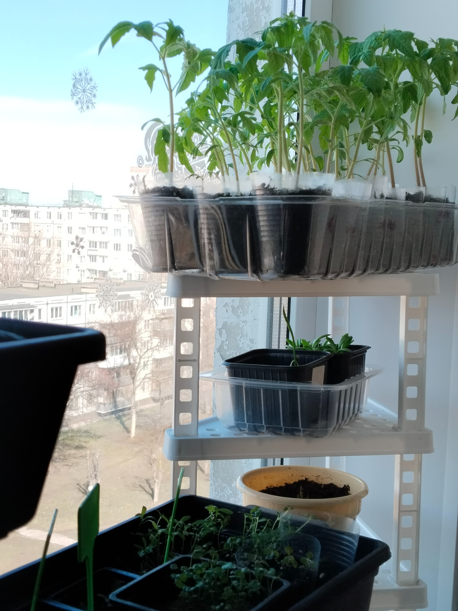 Треугольные полочки