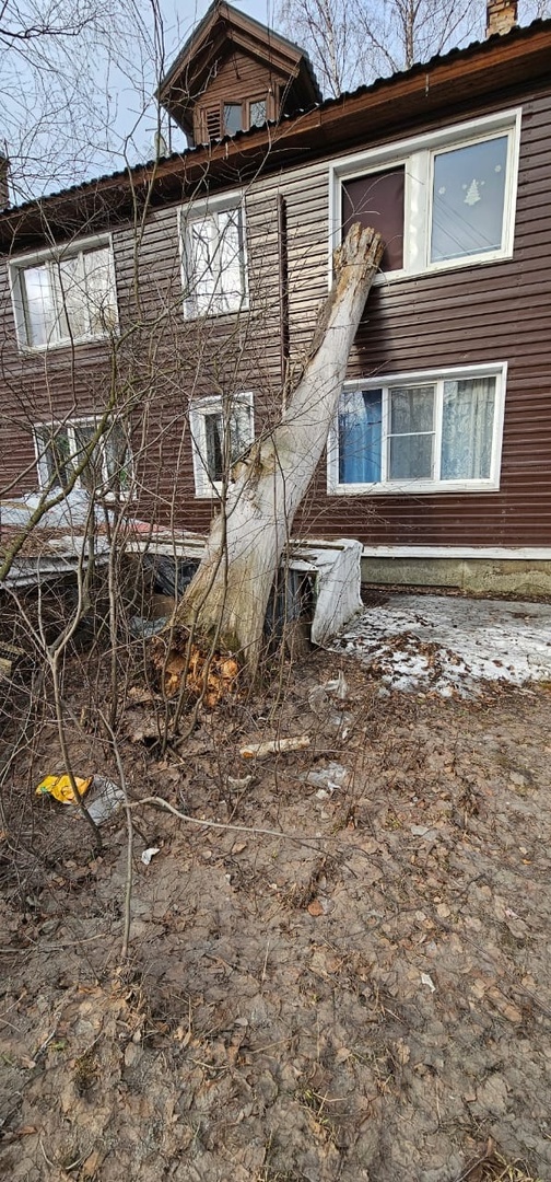    Упавшее дерево выбило окно жилого дома в Петрозаводскепаблик «ДТП Петрозаводска и Карелии»