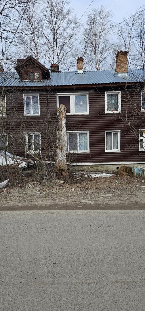    Упавшее дерево выбило окно жилого дома в Петрозаводскепаблик «ДТП Петрозаводска и Карелии»