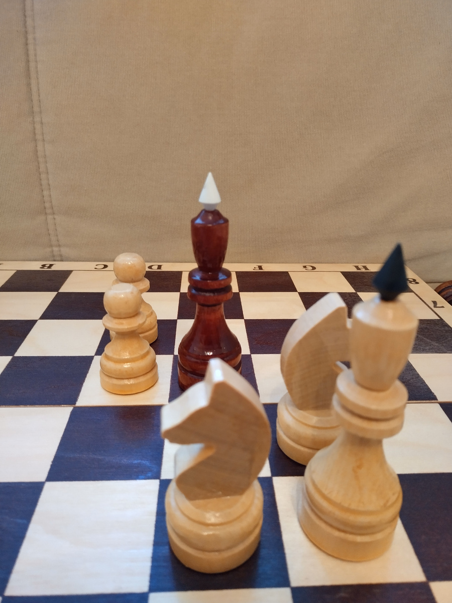 Фото автора.