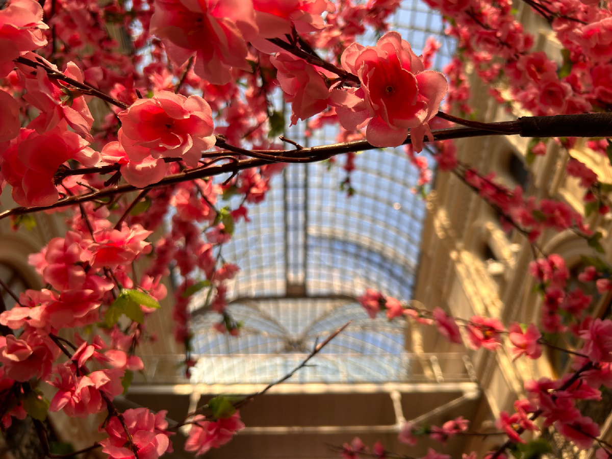 Фото автора. Весенний ГУМ