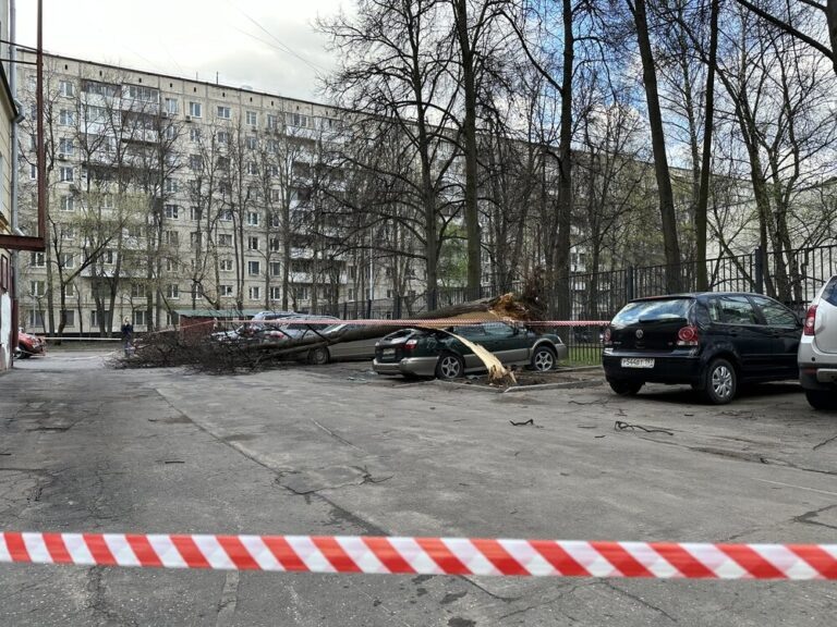    Фото: Агентство «Москва»/Мобильный репортер Анфиса Слепцова