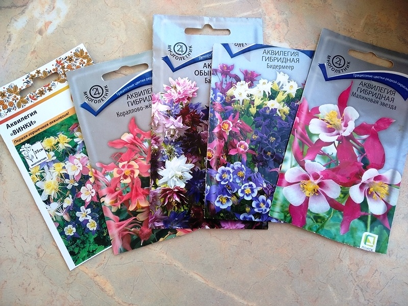 Две упаковки слева не взошли, у остальных отличная всхожесть