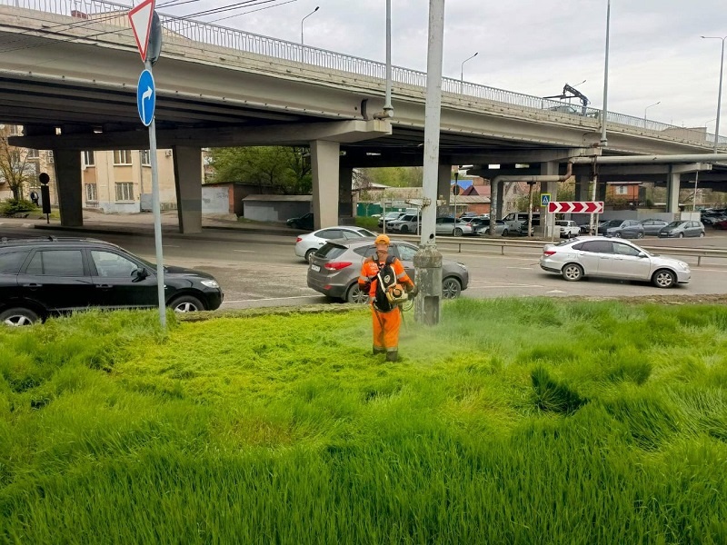    Фото: пресс-служба администрации Краснодара