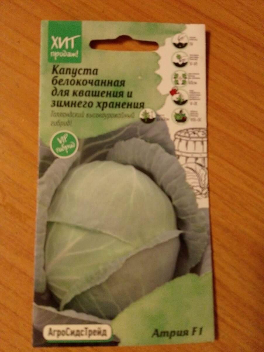 Капуста белокочанная