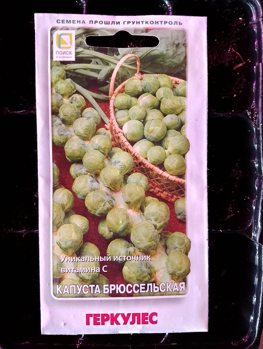 Капуста брюссельская Геркулес.