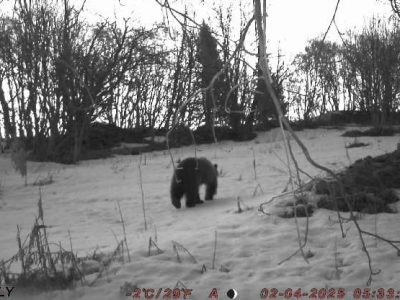    Фото: Национальный парк "Водлозерский"