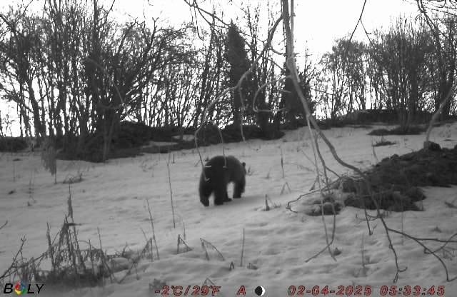    Фото: Национальный парк «Водлозерский»