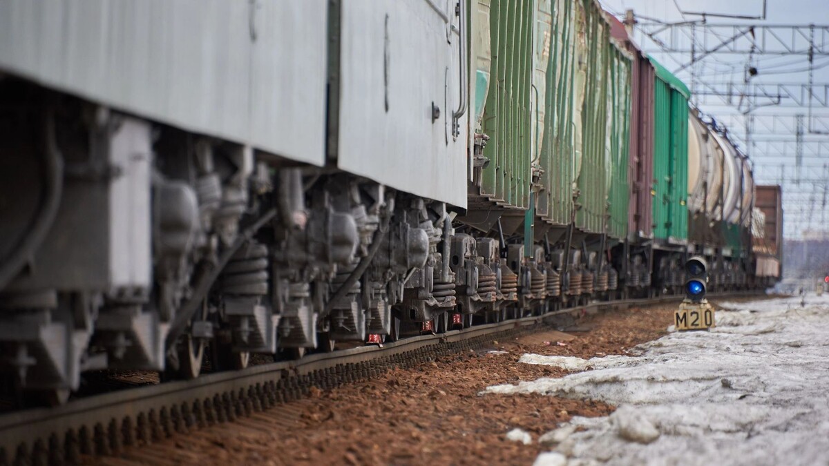    Фото: Gen_Shtab/Shutterstock/Fotodom