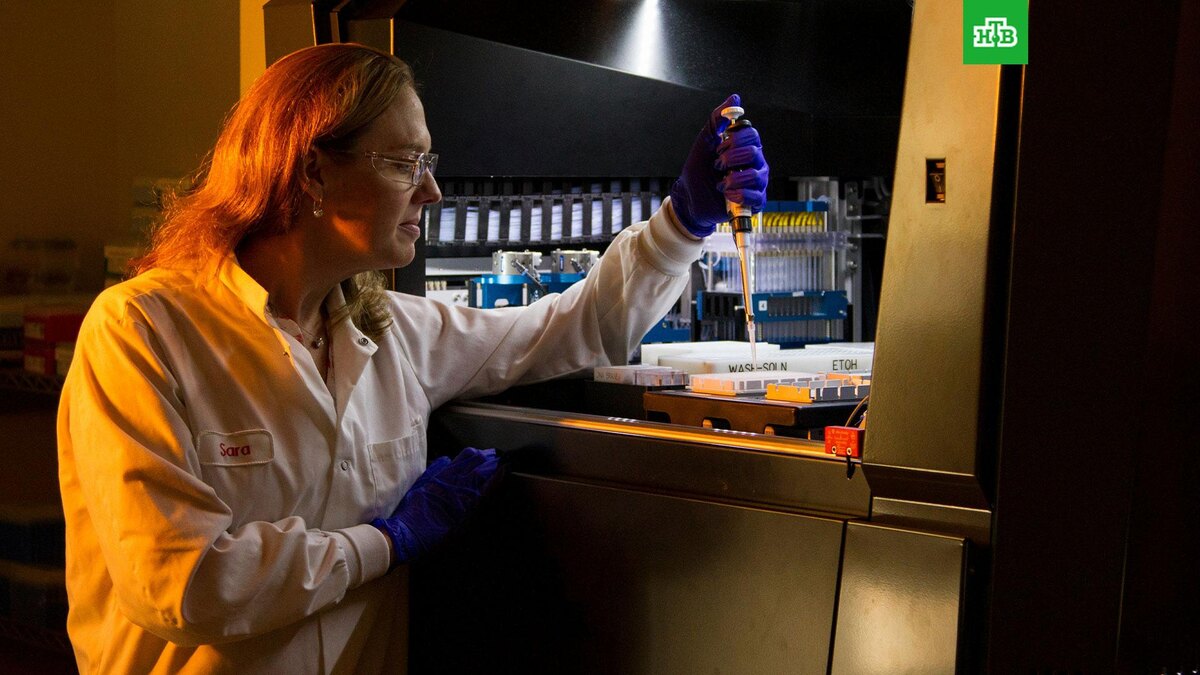    Фото: National Cancer Institute / unsplash.com