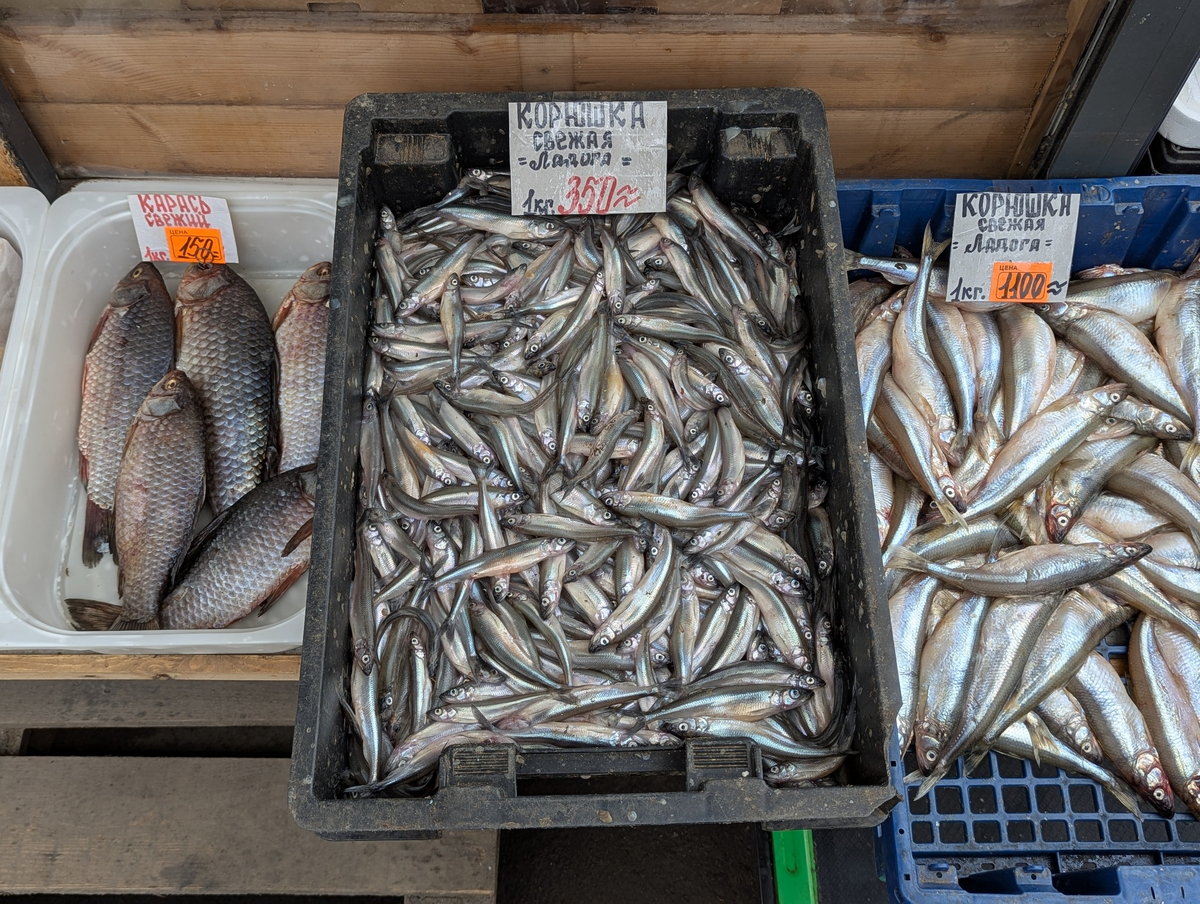 Фото: «Бумага»
