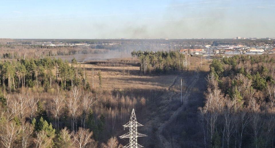    Комитет лесного хозяйства Московской области