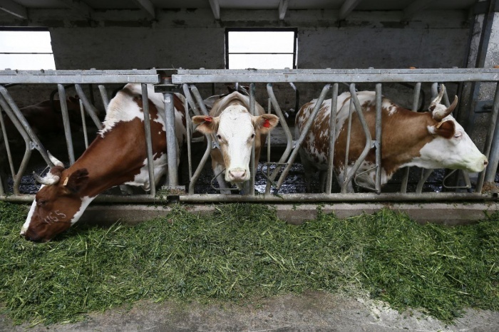    администрация Краснодарского края