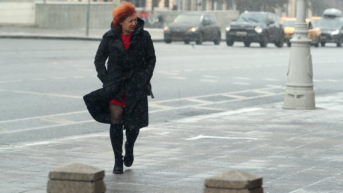    Фото: ИЗВЕСТИЯ/Андрей Эрштрем