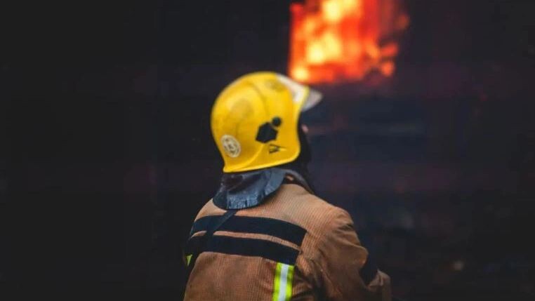    Фото: Tsuguliev/Shutterstock/Fotodom