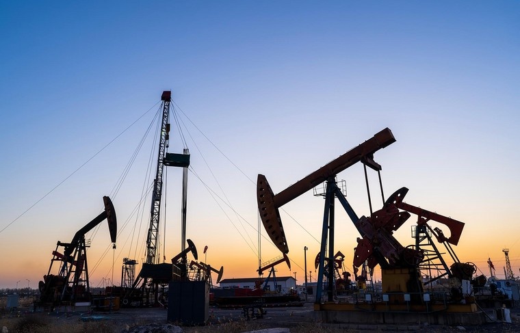    Shutterstock/FOTODOM