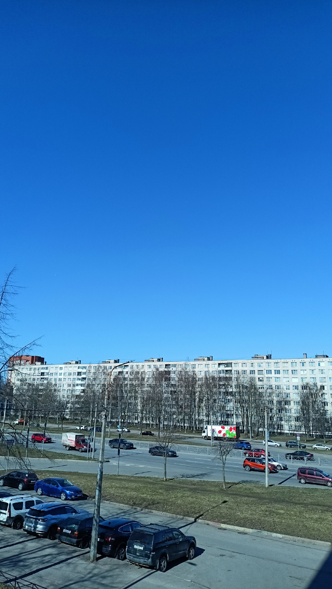 Фото автора. 11.20. СПб. Вид вроде бы благостный, но ветер до 20м/с, холодный всё портит.