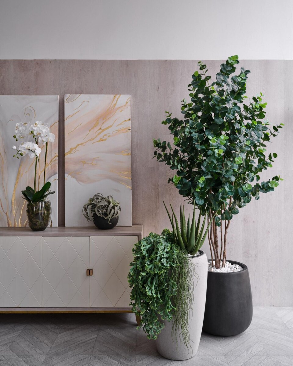 Кашпо и растения Treez Collection