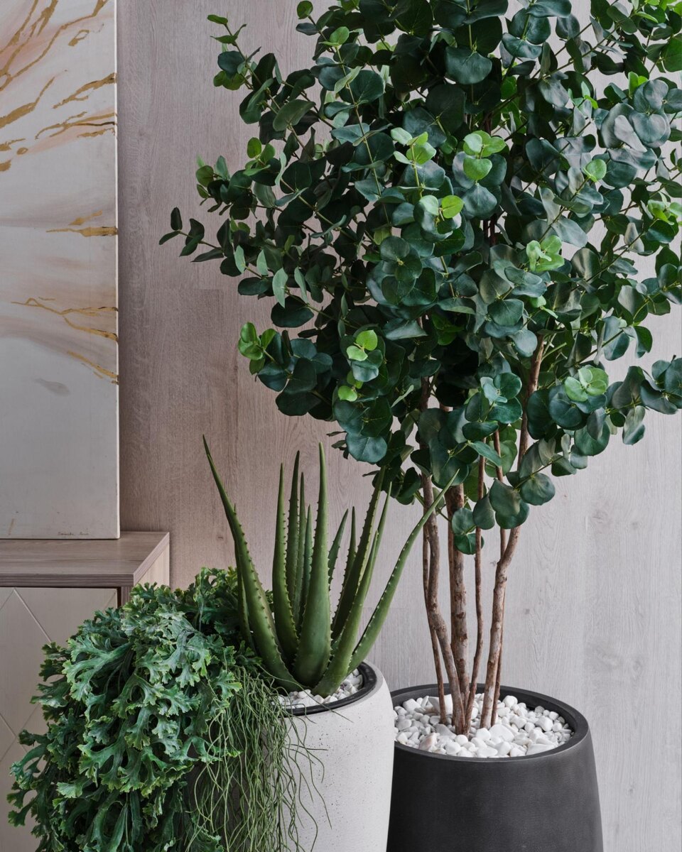 Кашпо и растения Treez Collection