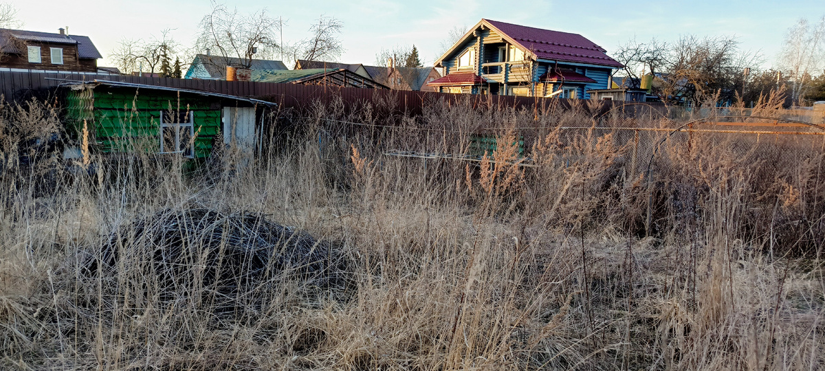 Соседский отдыхающий огород