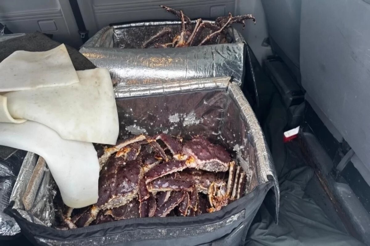    Под Мурманском обнаружен автомобиль, перевозивший 589 кг живого краба