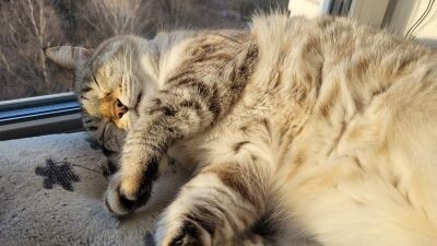 уровень идеальности - 100!