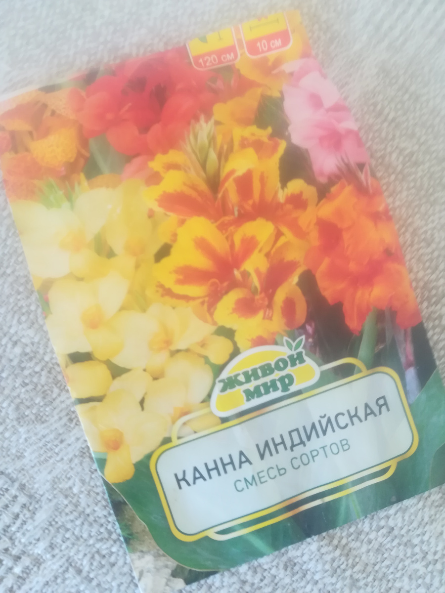 Такие канны надеюсь вырастить